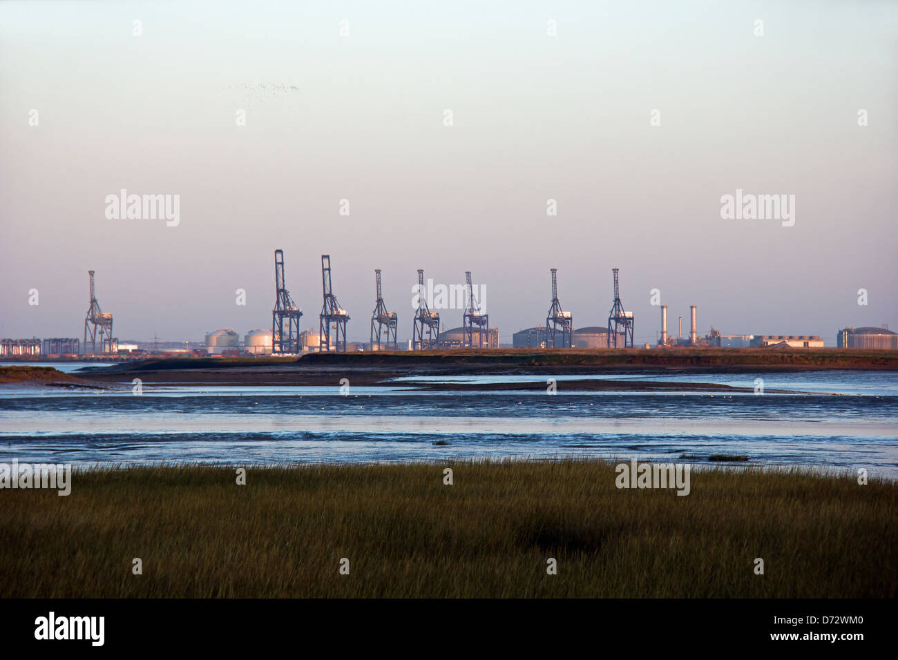 London Thamesport Gantry Cranes Stock Photo