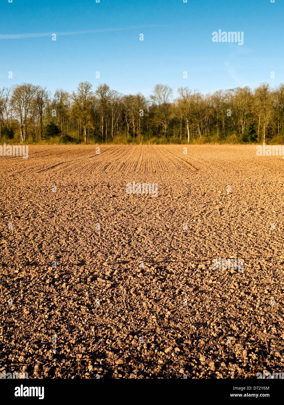Newly seeded farmland IndreetLoire, France Stock Photo Alamy