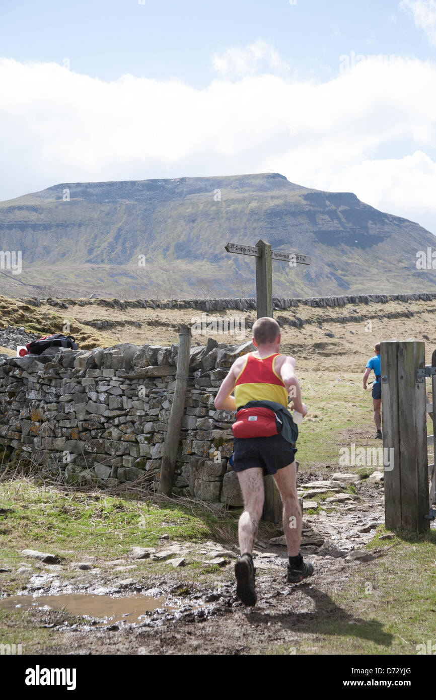 Yorkshire, UK. 27th April 2013. A competitor just below Ingleborough for the Yorkshire Three Peaks Challenge Saturday 27th April, 2013. The 59th Annual 3 Peaks Race with 1000 fell runners starting at the Playing Fields, Horton in Ribblesdale, Nr, Settle, UK.  Pen-y-Ghent is the first peak to be ascended then Whernside and finally the peak of Ingleborough. The race timed using the SPORTident Electronic Punching system. Credit: Conrad Elias/Alamy Live News Stock Photo