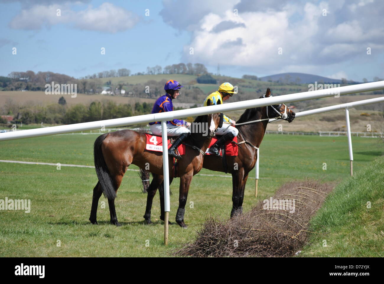 punchestown race course naas co kildare ireland 27th april 2013 horses looking a rubys double jump before the cross country event photo taken by Linda Duncan alamy live news Stock Photo