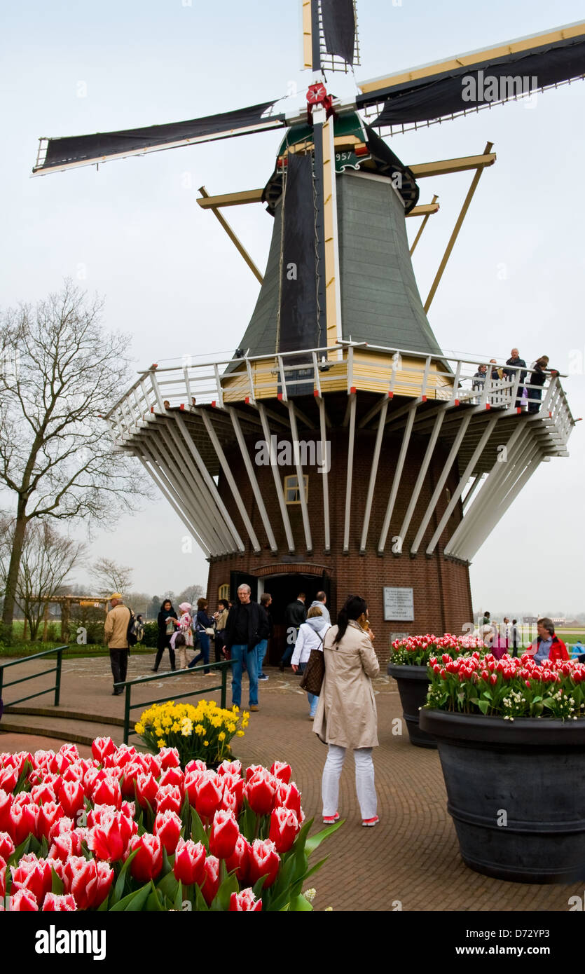 Spring flowering bulbs at the Keukenhof gardens, Holland Stock Photo
