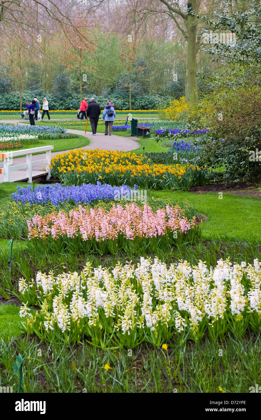 Spring flowering bulbs at the Keukenhof gardens, Holland. Stock Photo