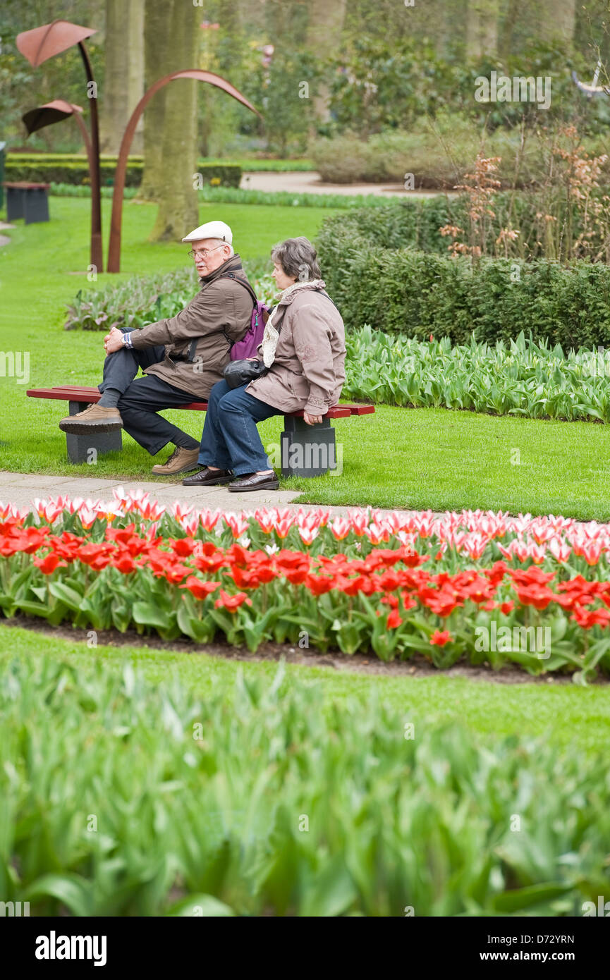 Spring flowering bulbs at the Keukenhof gardens, Holland Stock Photo
