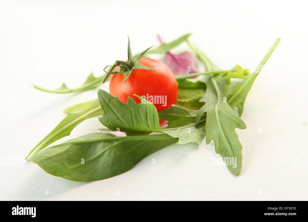 fresh vegetables on the white background: cherry tomato and leafs of rucola Stock Photo