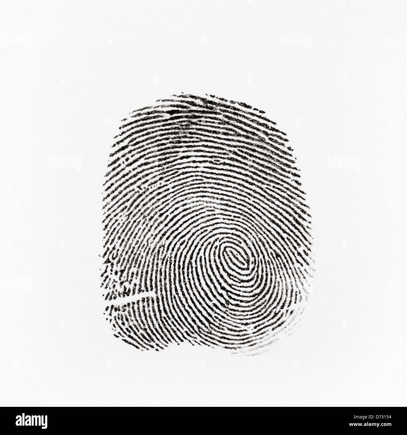 Thumbprint of a right thumb showing a whorl and various minutiae Stock Photo