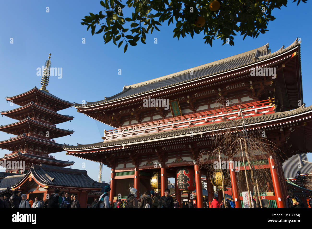 Asakusa Kannon Temple (Senso-ji Temple) and Pagoda, Tokyo, Japan Stock Photo