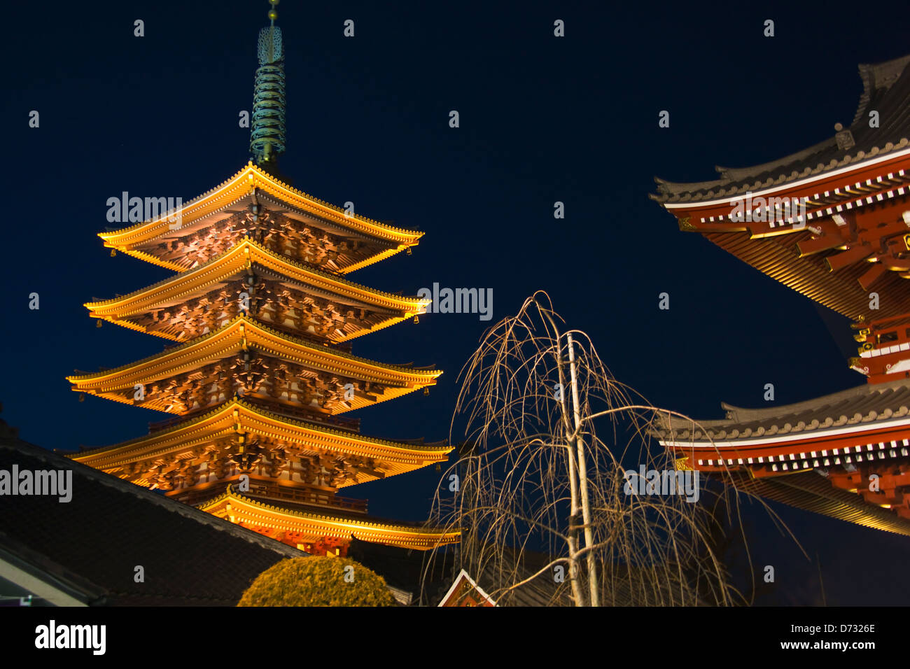 Night view of Asakusa Kannon Temple (Senso-ji Temple) and Pagoda, Tokyo, Japan Stock Photo