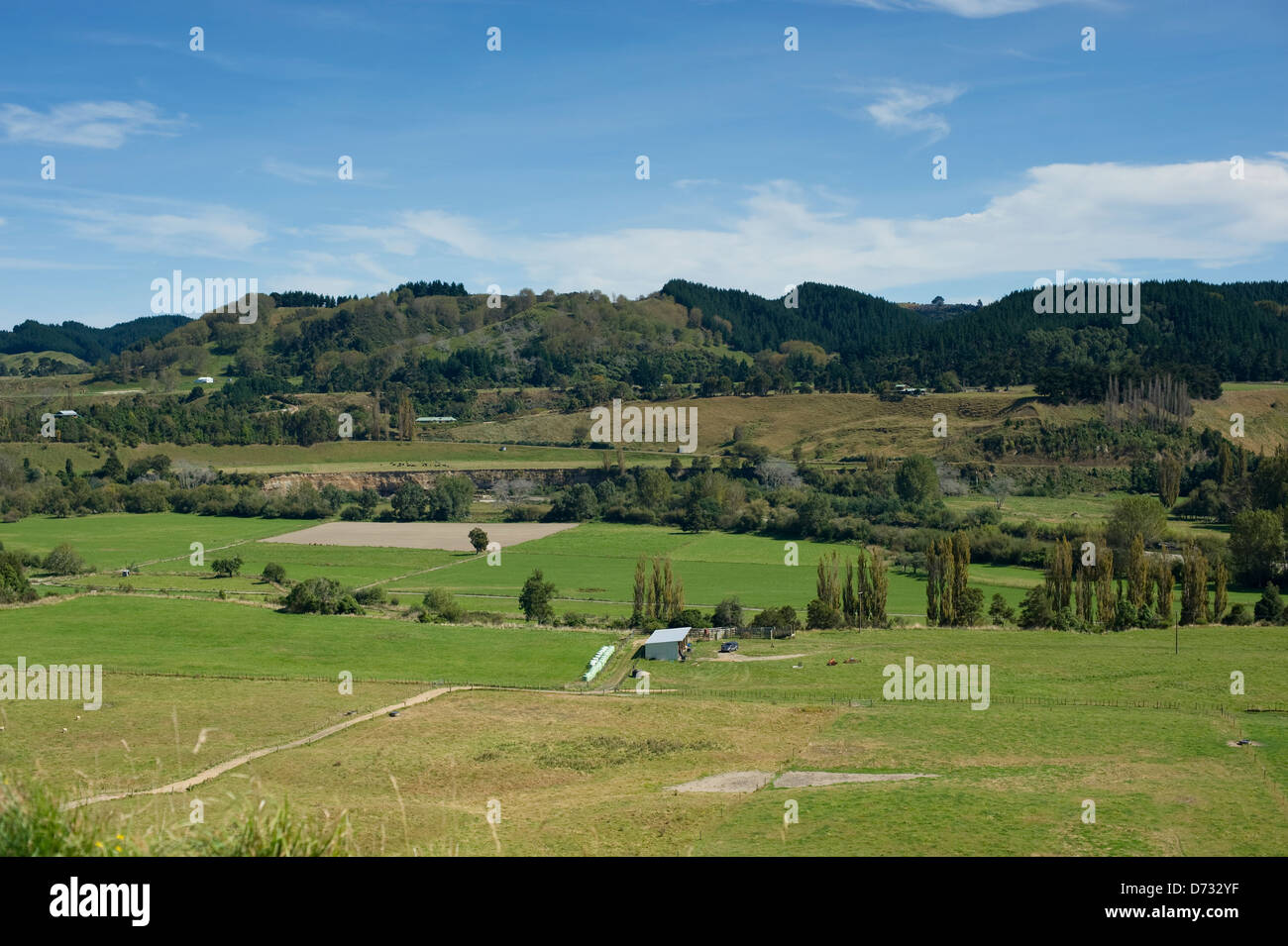 A scene of rural New Zealand farm land- Pohangina Valley in the Manawatu region in the lower North Island Stock Photo