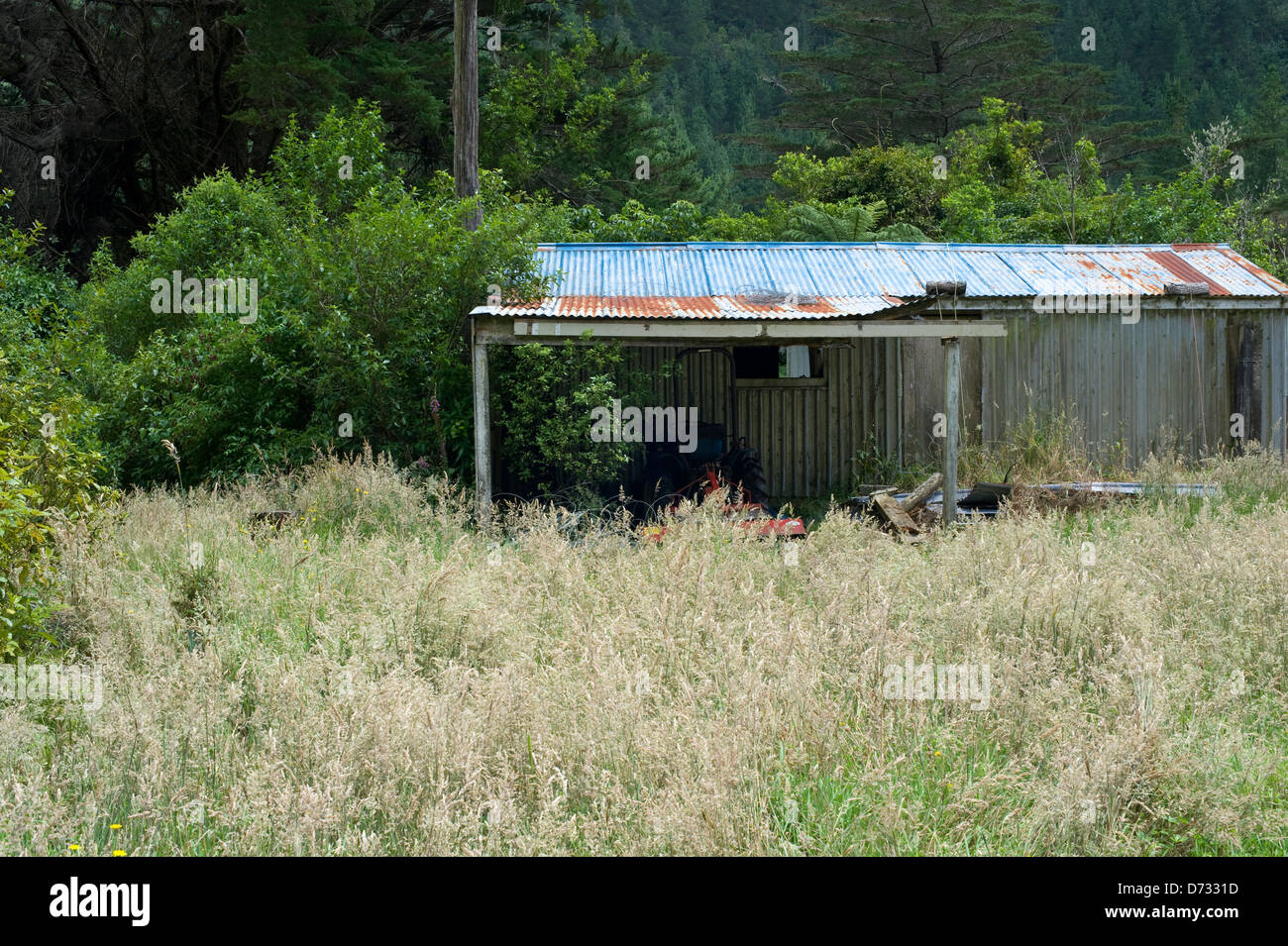 A ramshackle aluminium shed in a wooded area Stock Photo
