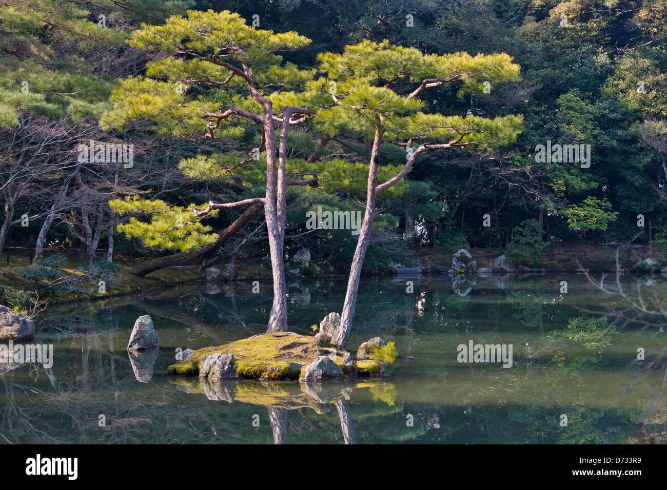 Pine tree and pond in Kinkaku-ji (also known as Rokuon-ji) Temple, Kyoto, Japan Stock Photo