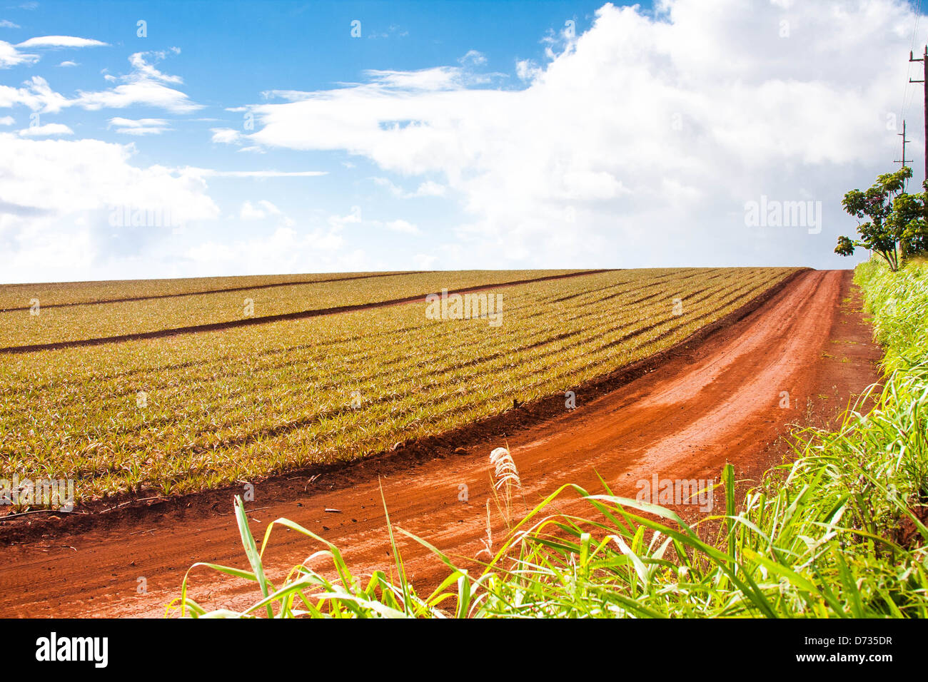 Beautiful landscape in hawaii hi-res stock photography and images - Alamy