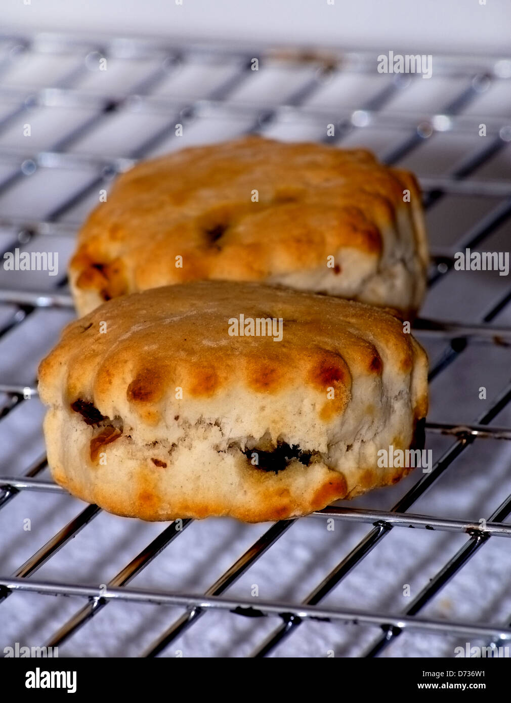 Home baked scones fresh from the oven, on a cooling rack. Stock Photo
