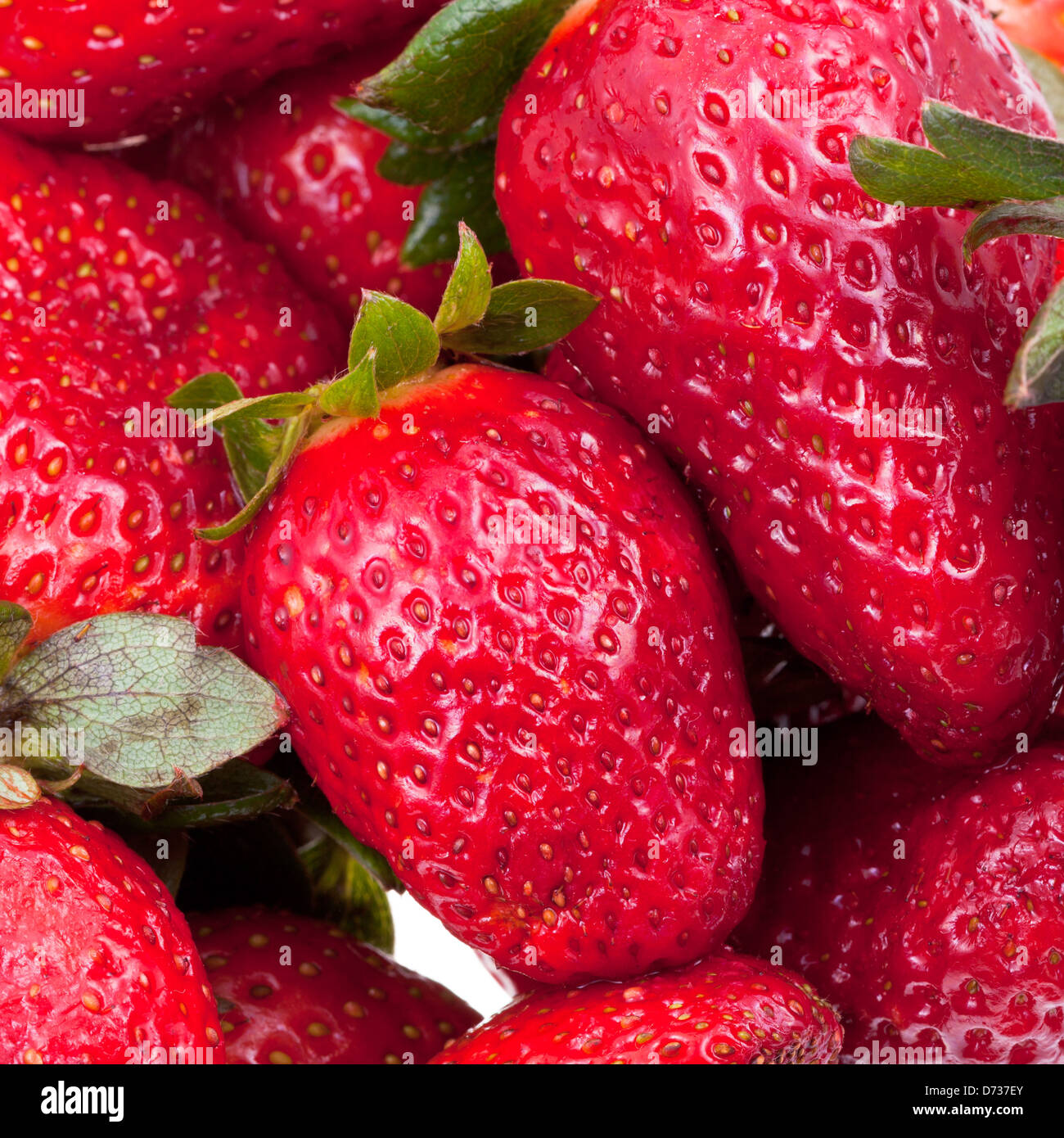 many fresh red strawberries close up Stock Photo Alamy