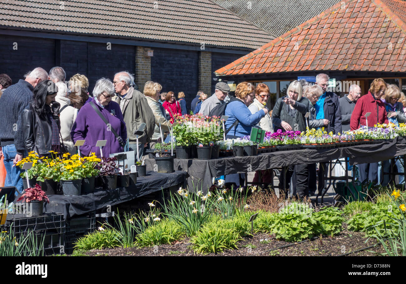 Crowds of people at a Garden Centre RHS Hyde Hall Essex Stock Photo