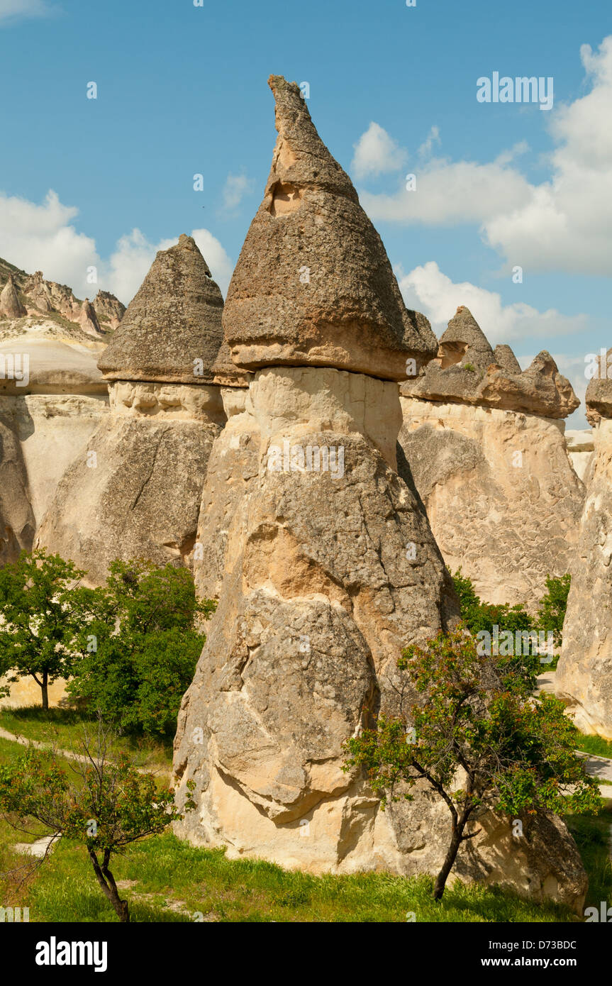 Fairy Chimneys in Devrent Valley, Cappodocia, Nevsehir, Turkey Stock Photo