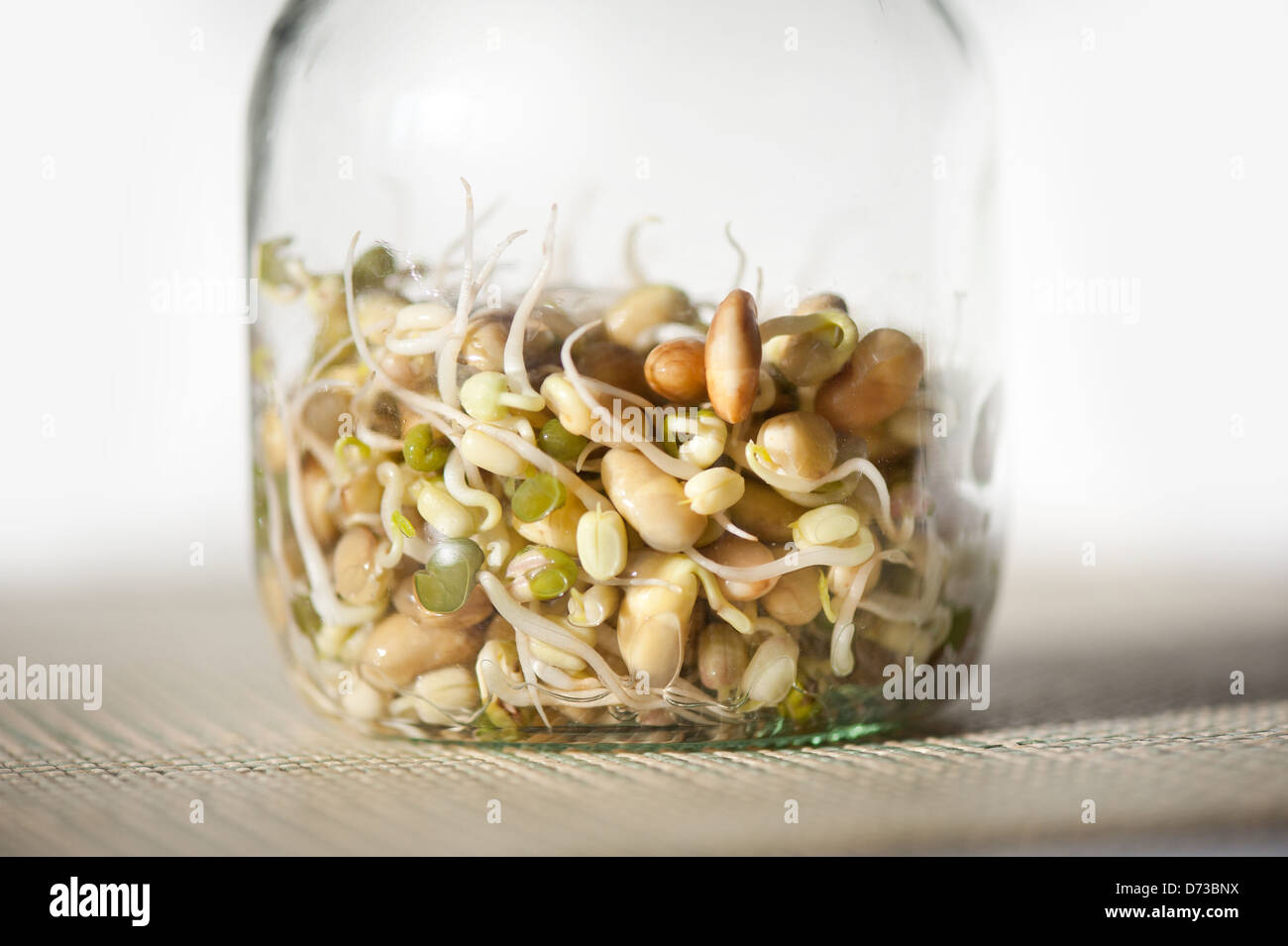 Mix of plants sprouts growing in glass jar Stock Photo