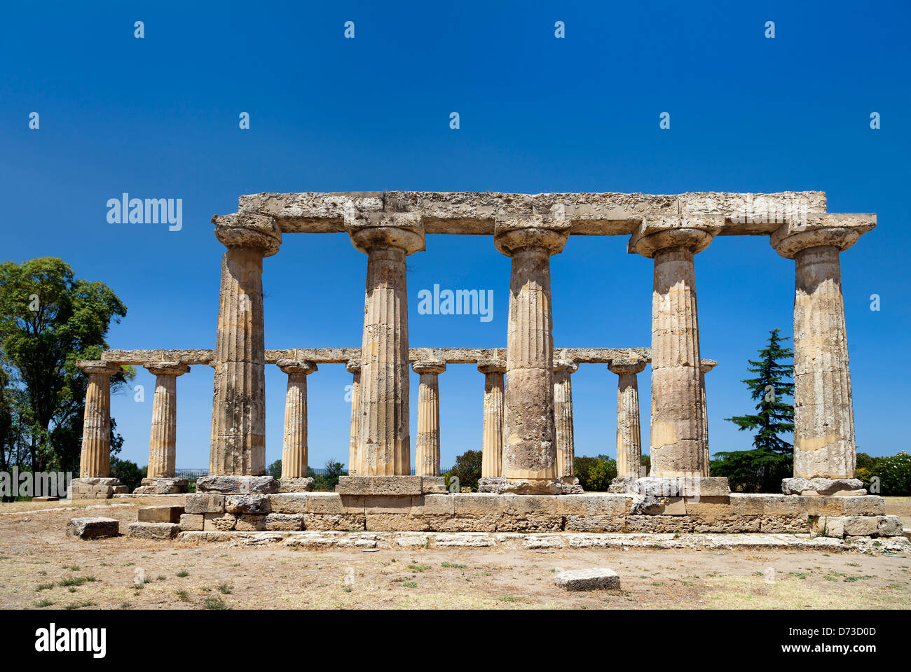 Greek temple in Metaponto.Basilicata, Italy Stock Photo