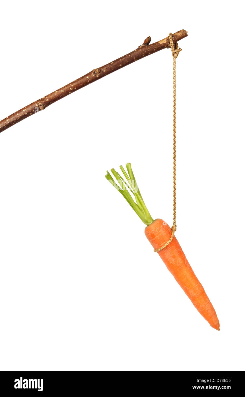 Carrot on Stick Stock Photo Alamy