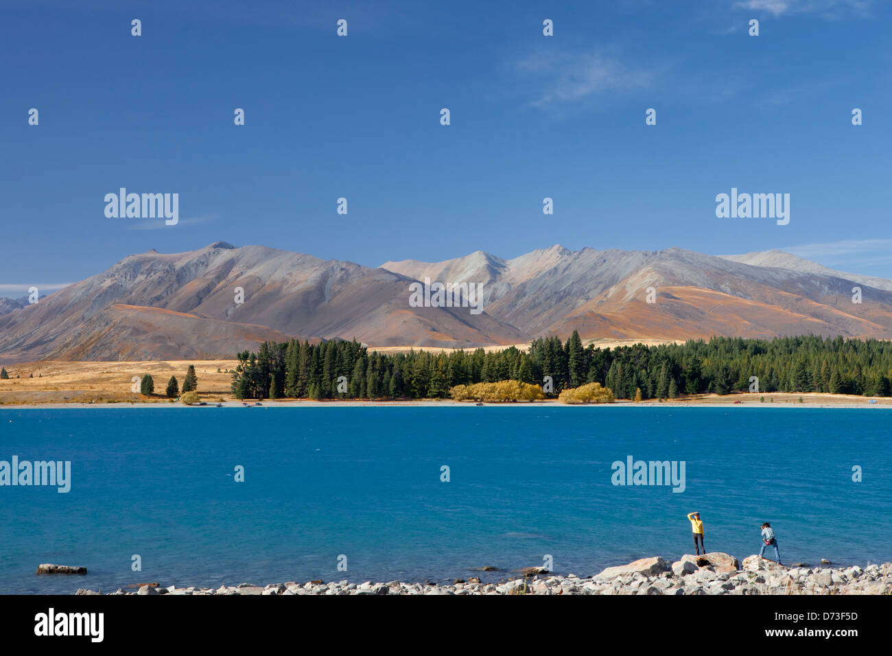 Lake Tekapo, South Island, New Zealand Stock Photo - Alamy