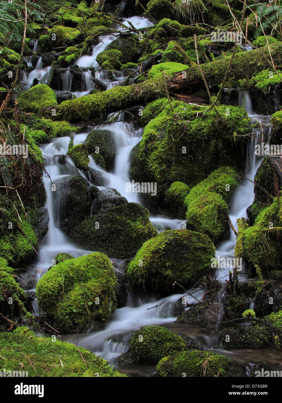Spring Time Runoff Intermittent spring hi-res stock photography and images - Alamy