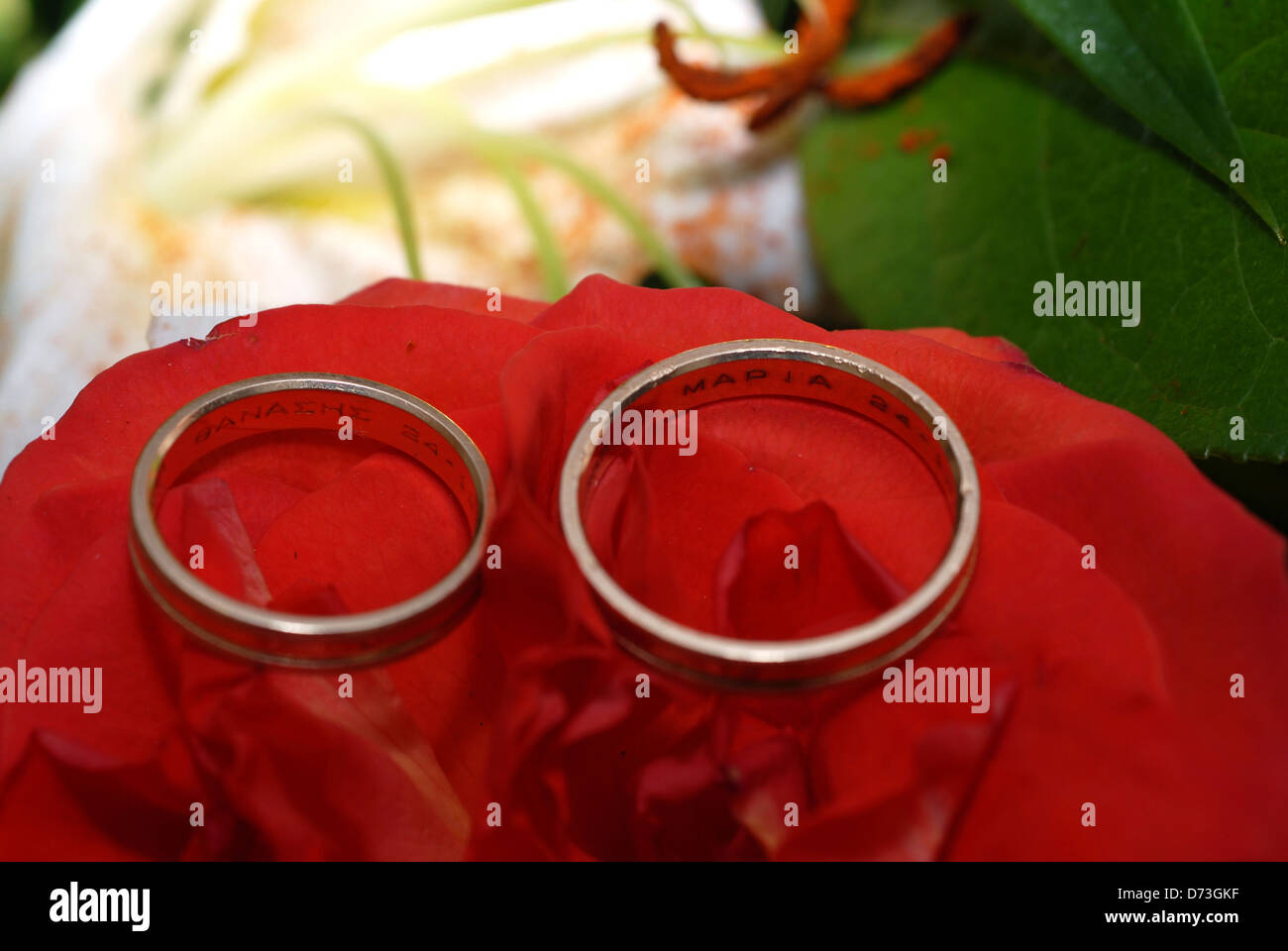 Wedding rings lying on red rose Stock Photo