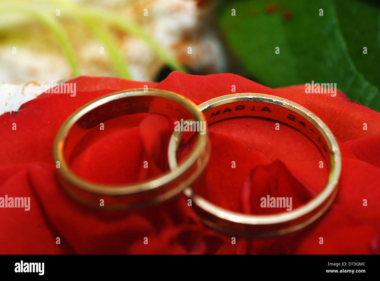 Wedding rings lying on red rose Stock Photo
