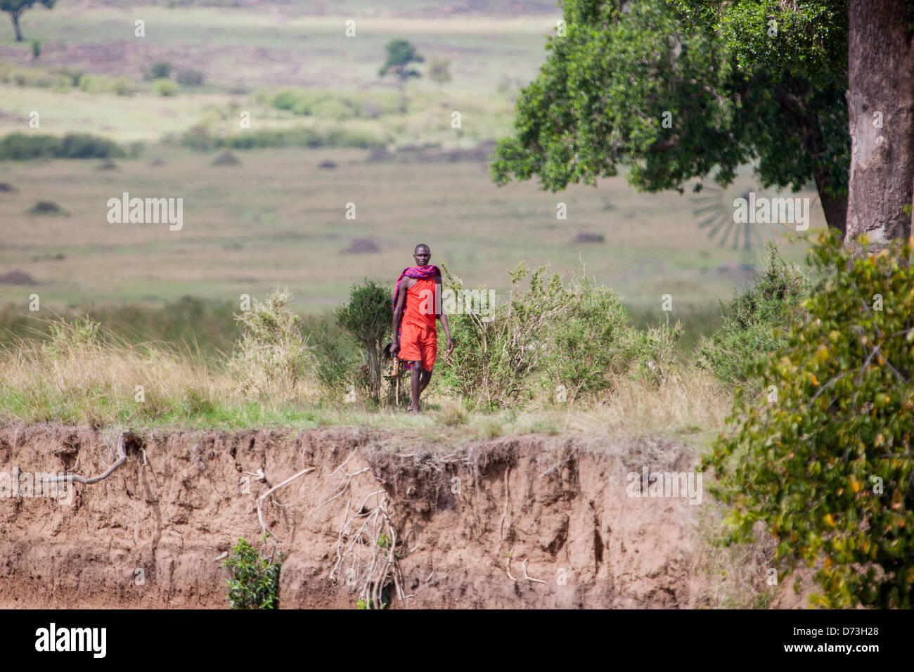 Maasai Tribesman walking through bush, along edge of river bank Stock Photo