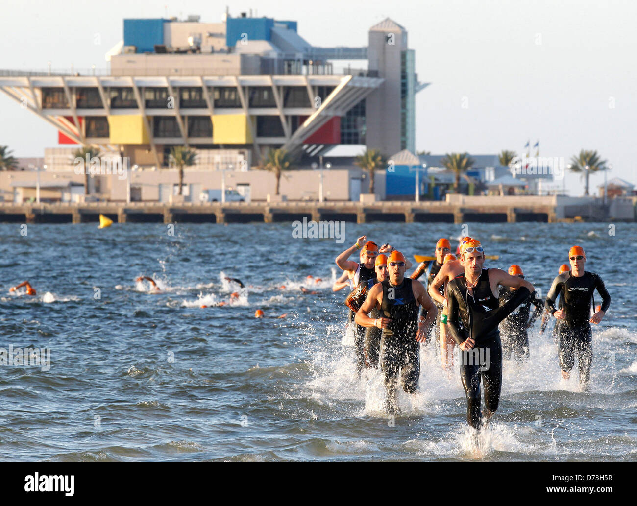 Sunday April 28th 2013. St. Petersburg, Florida, USA JAMES BORCHUCK   |   Times ..Members of the Elite Amateur Men's group exit the water with the Pier in the backround during the 30th St. Anthony's Triathlon Sunday morning.   Officials changed the swim course after the pro men and pro women went through because of high winds and choppy conditions in Tampa Bay. (Credit Image: © James Borchuck/Tampa Bay Times/ZUMAPRESS.com) Stock Photo