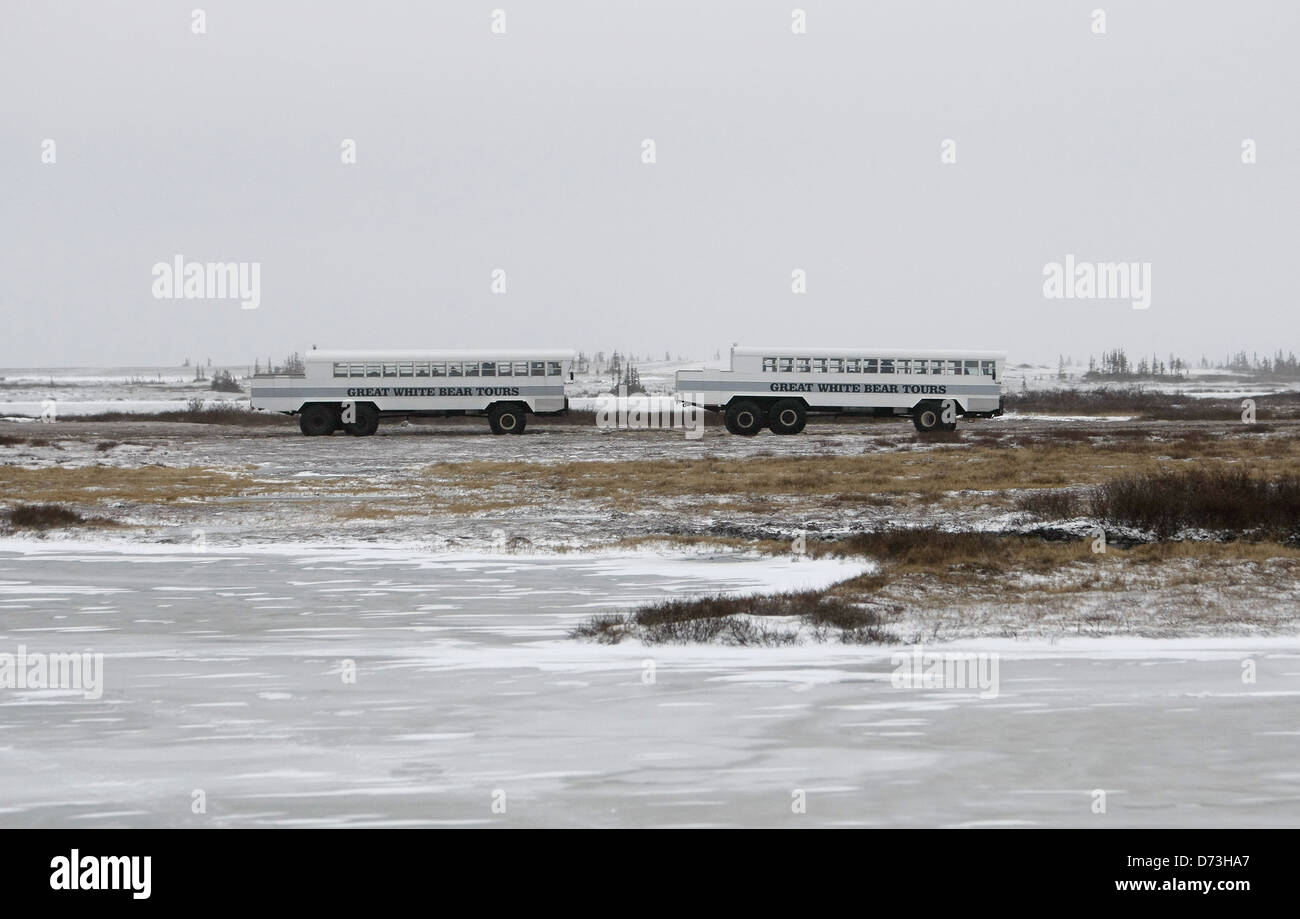 Tundra buggies hi-res stock photography and images - Alamy