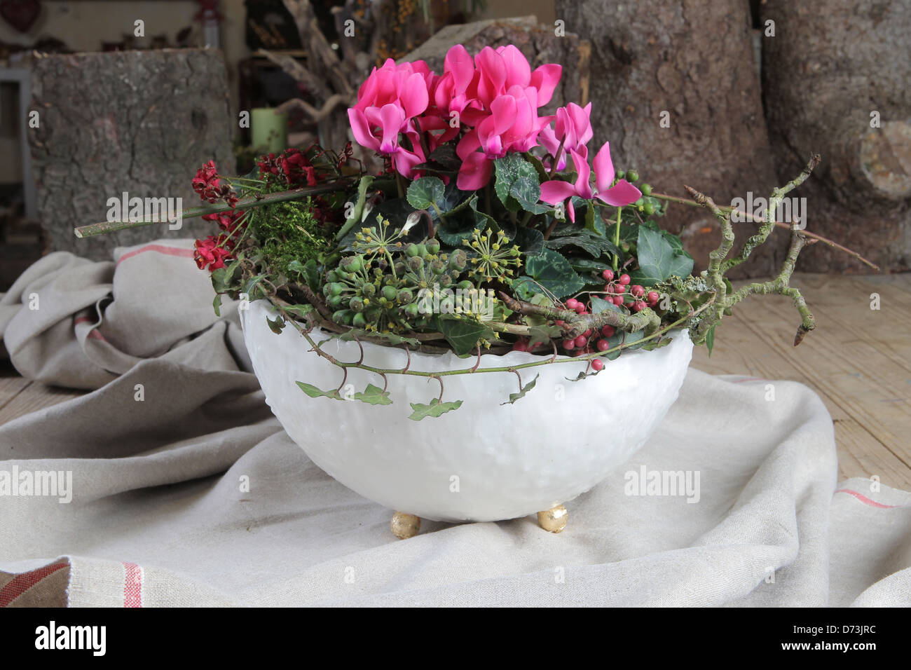 Harrislee Germany With Cyclamen Flower Arrangement In A Dish Stock Photo Alamy