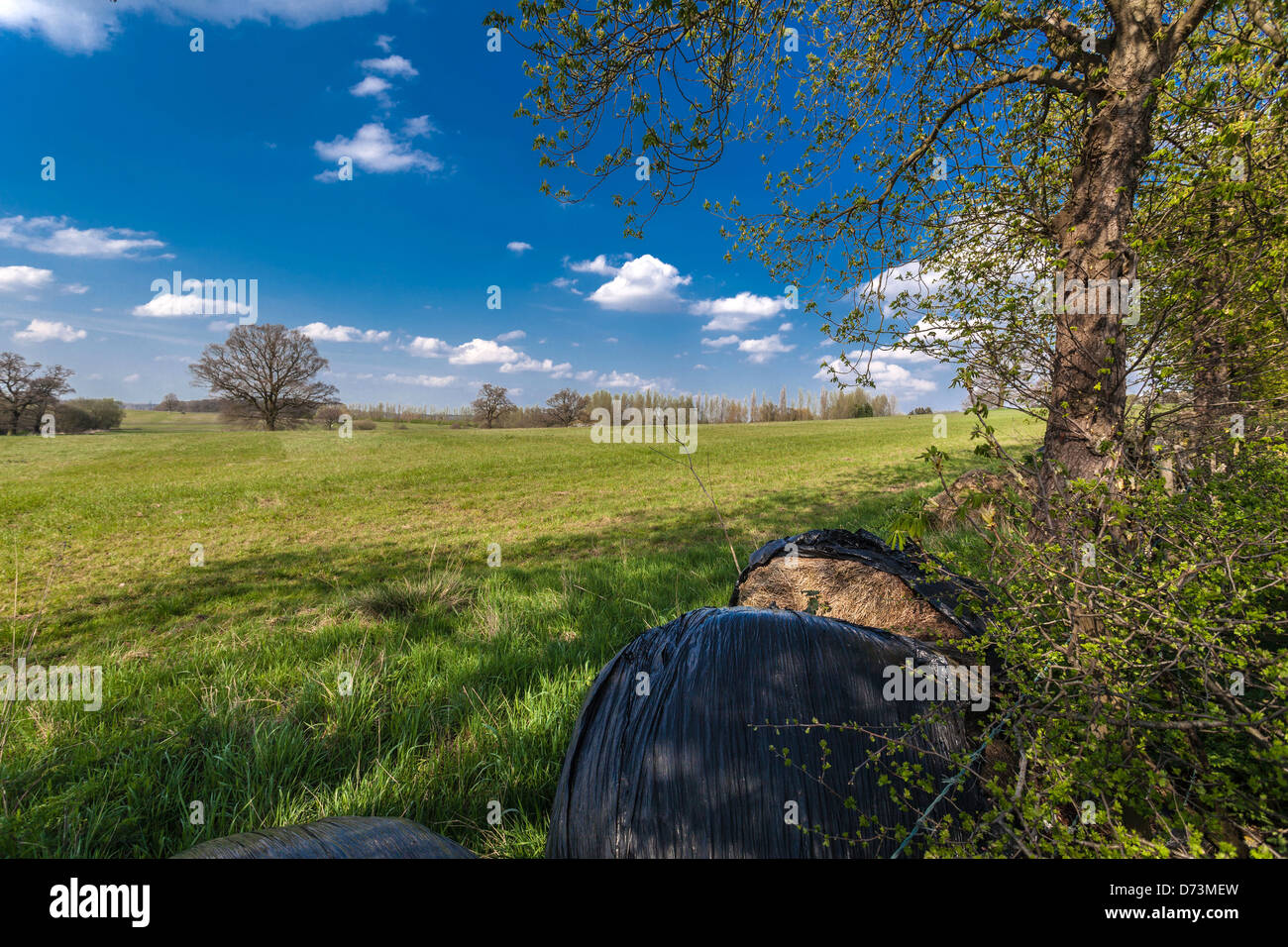 British countryside view, Borehamwood, Hertfordshire, England, UK. Stock Photo