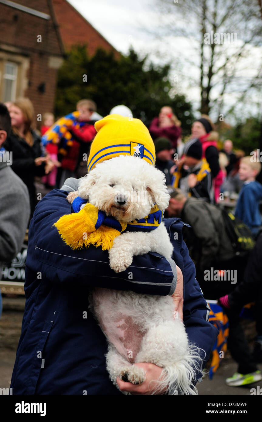 Mansfield town football club hires stock photography and images Alamy
