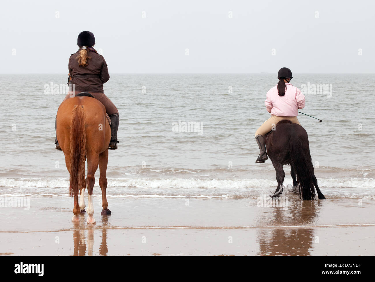 Two young women on horses riding on the beach at the waters edge ...