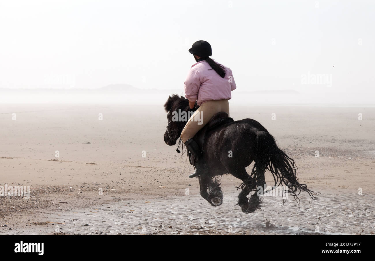 A young woman riding her pet pony on the beach, Holkham Beach, Norfolk UK Stock Photo