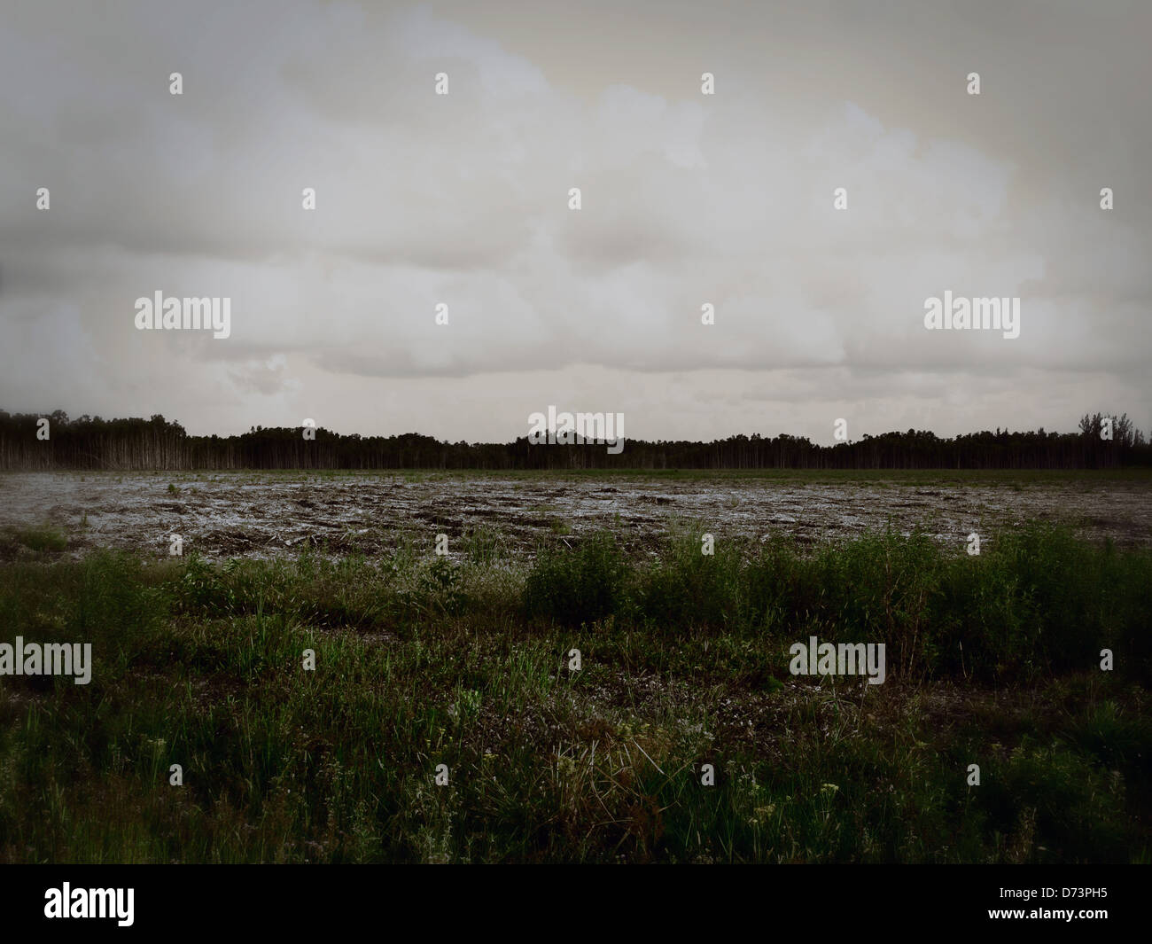 Deserted field, clouds, sadness, solitude, depression, clouds, landscape Stock Photo