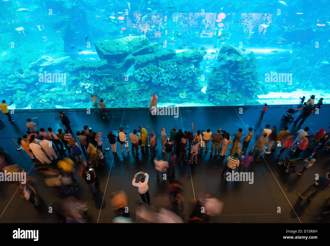 Large aquarium at Dubai Mall in United Arab Emirates UAE Stock Photo