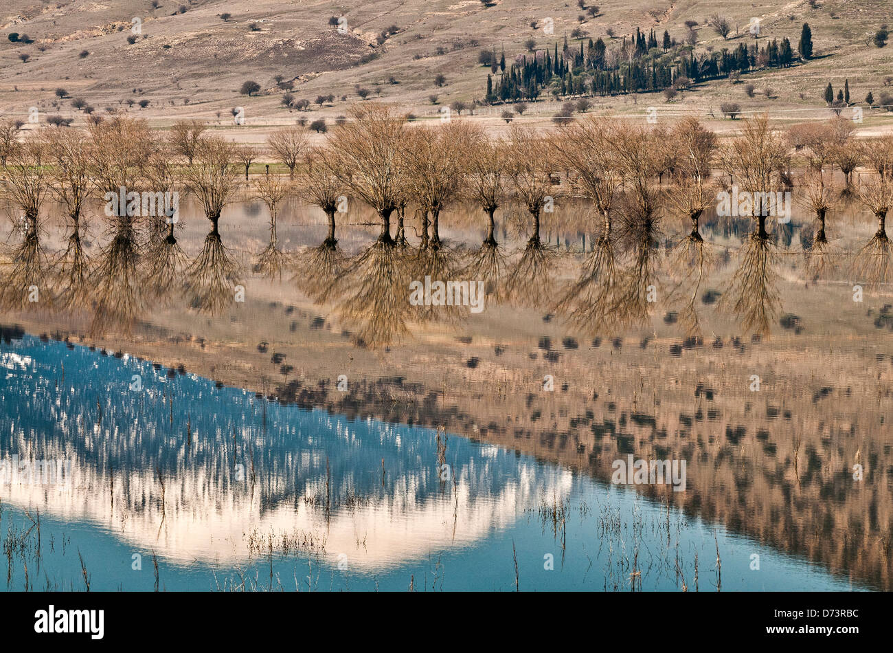 Reflections in the flooded plains of Mantineia, near Tripoli, Southern Arcadia, Peloponnese, Greece Stock Photo