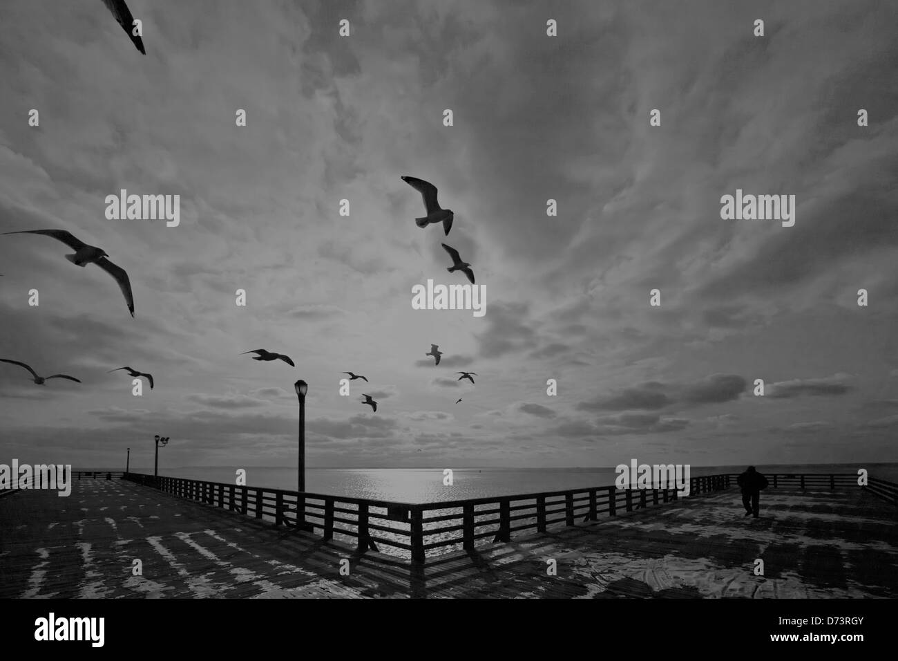 birds flying, clouds, sadness, solitude, pier, seagulls, silhouette Stock Photo