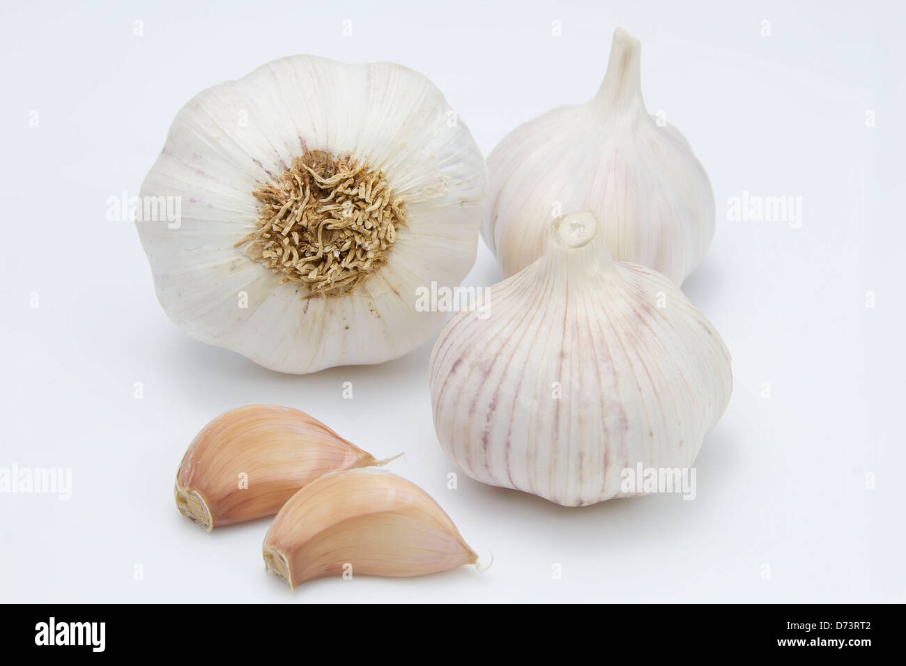 Garlic Stock Photo