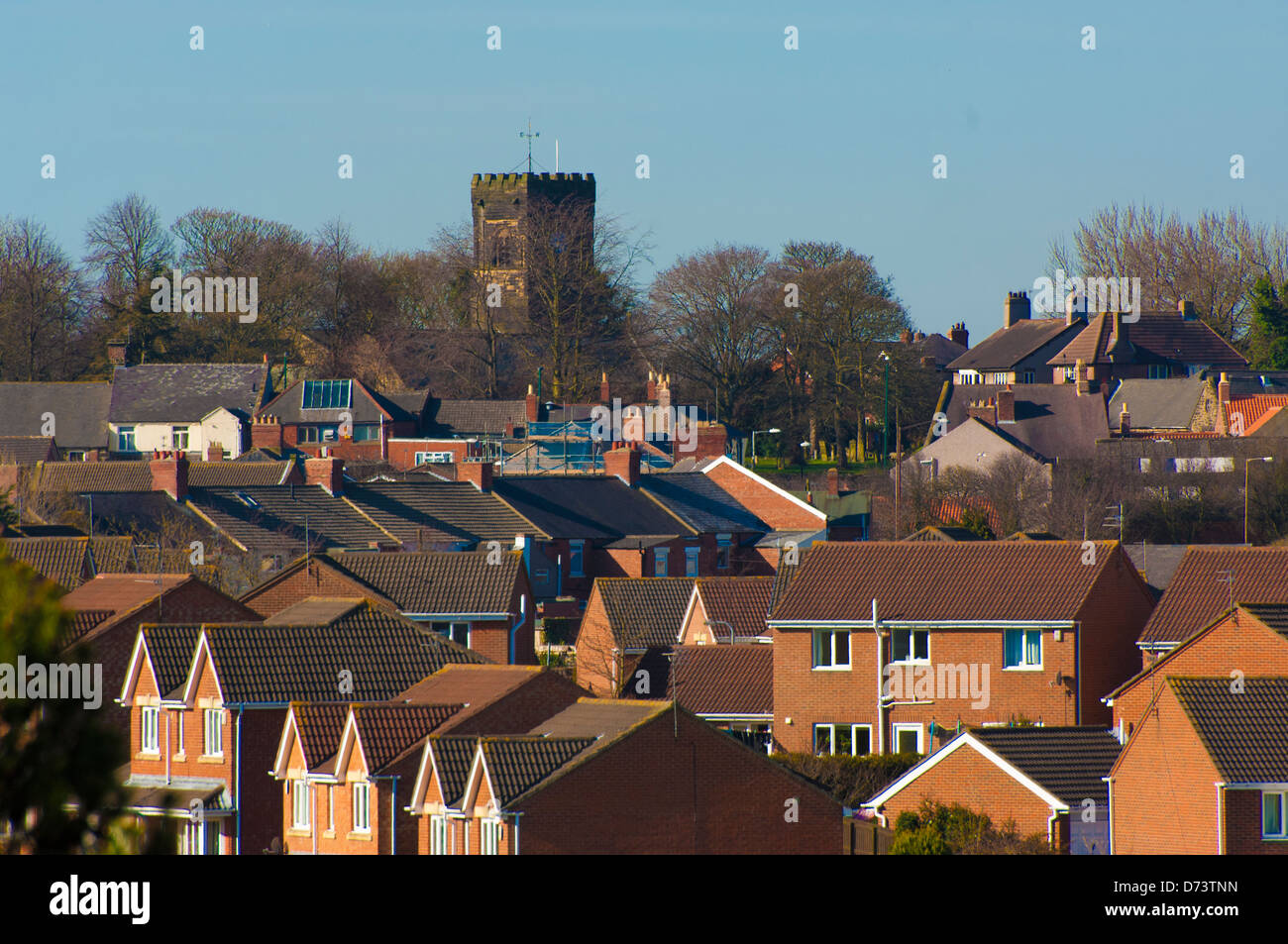 Bedlington hires stock photography and images Alamy