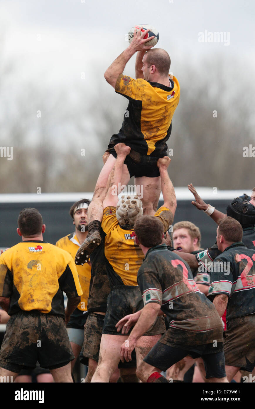 Blossom ball hi-res stock photography and images - Alamy