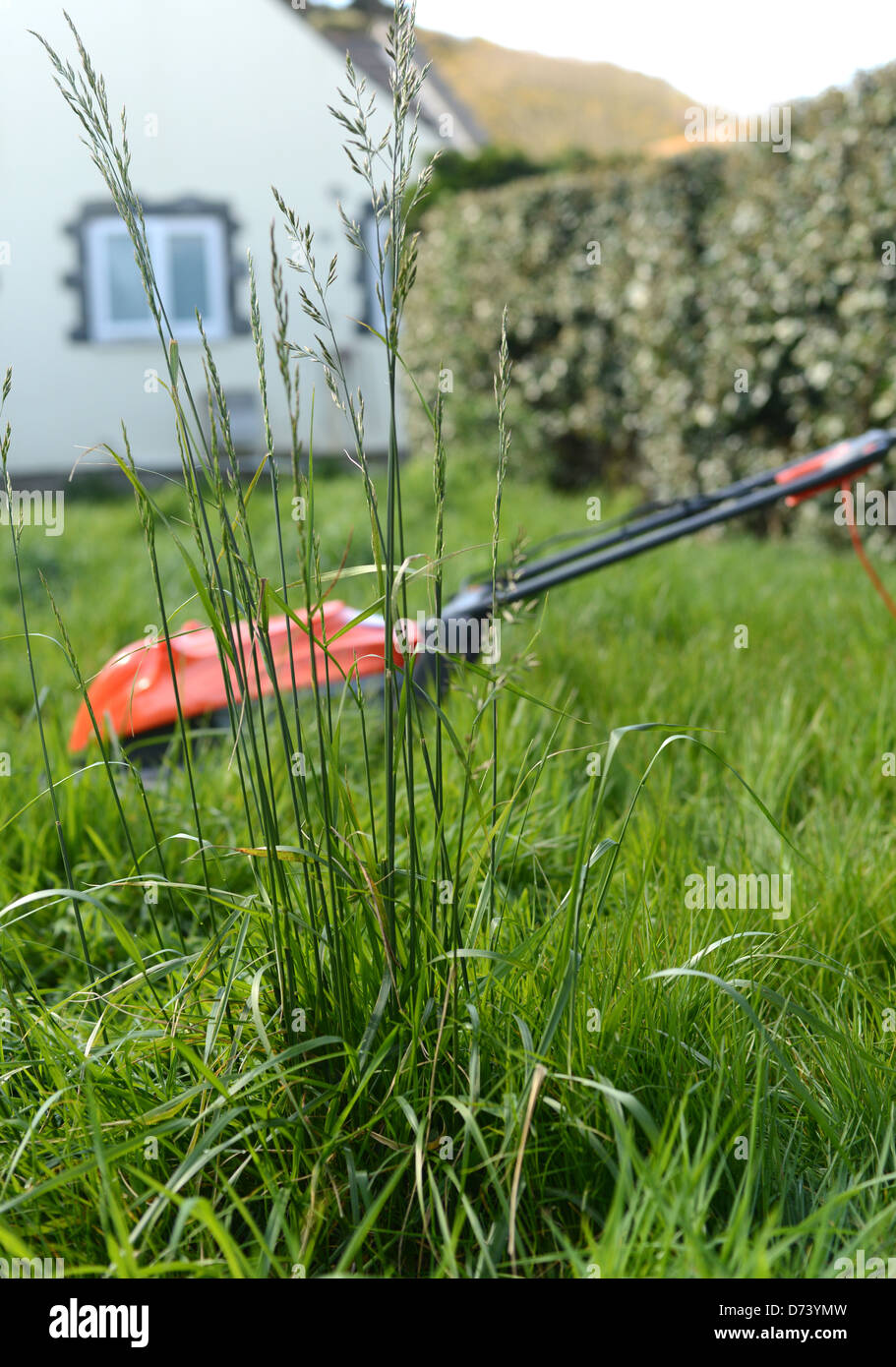 Hover mower in long grass Stock Photo