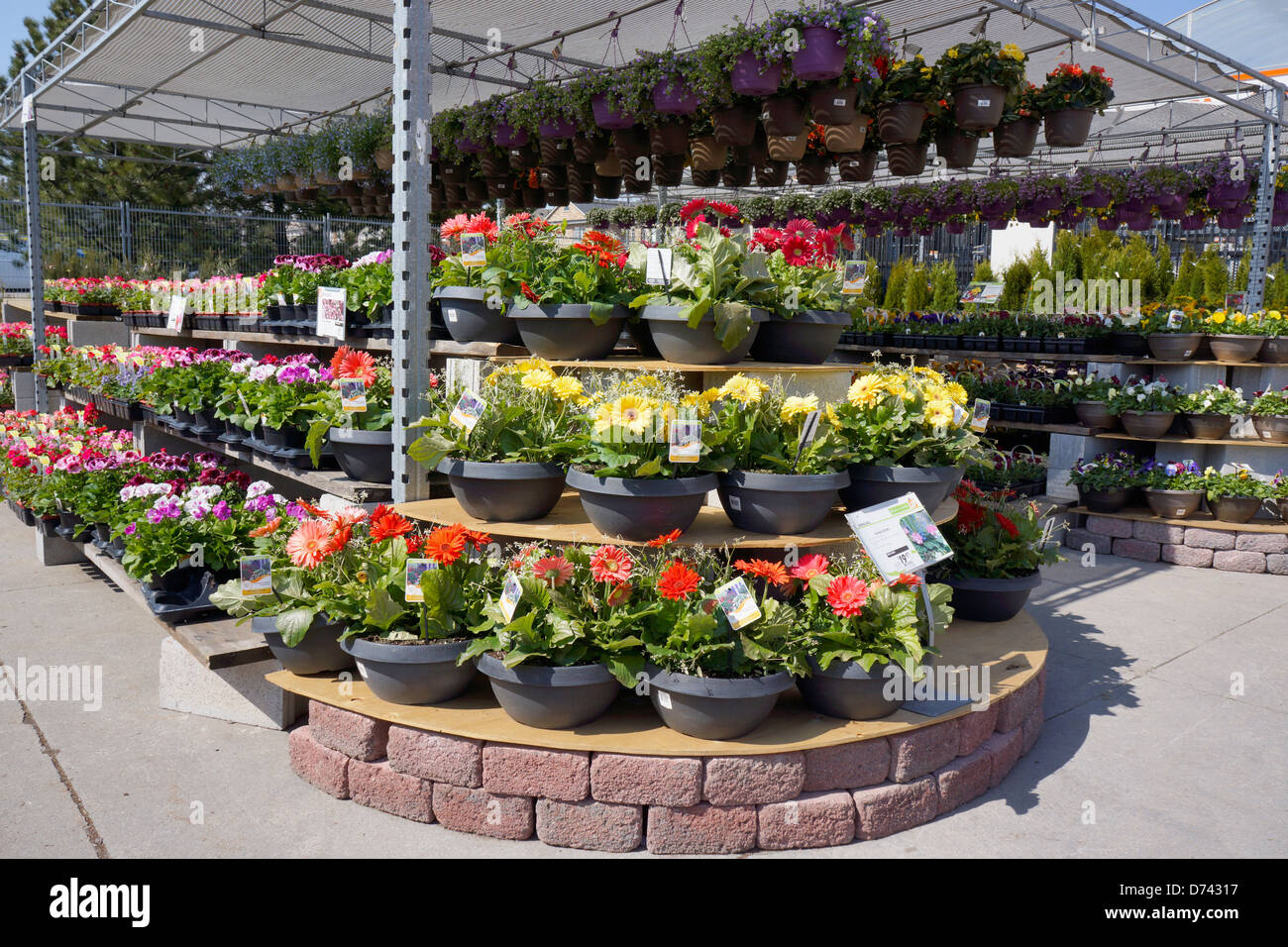 Garden Centre Flowers, Pot Plants Stock Photo Alamy