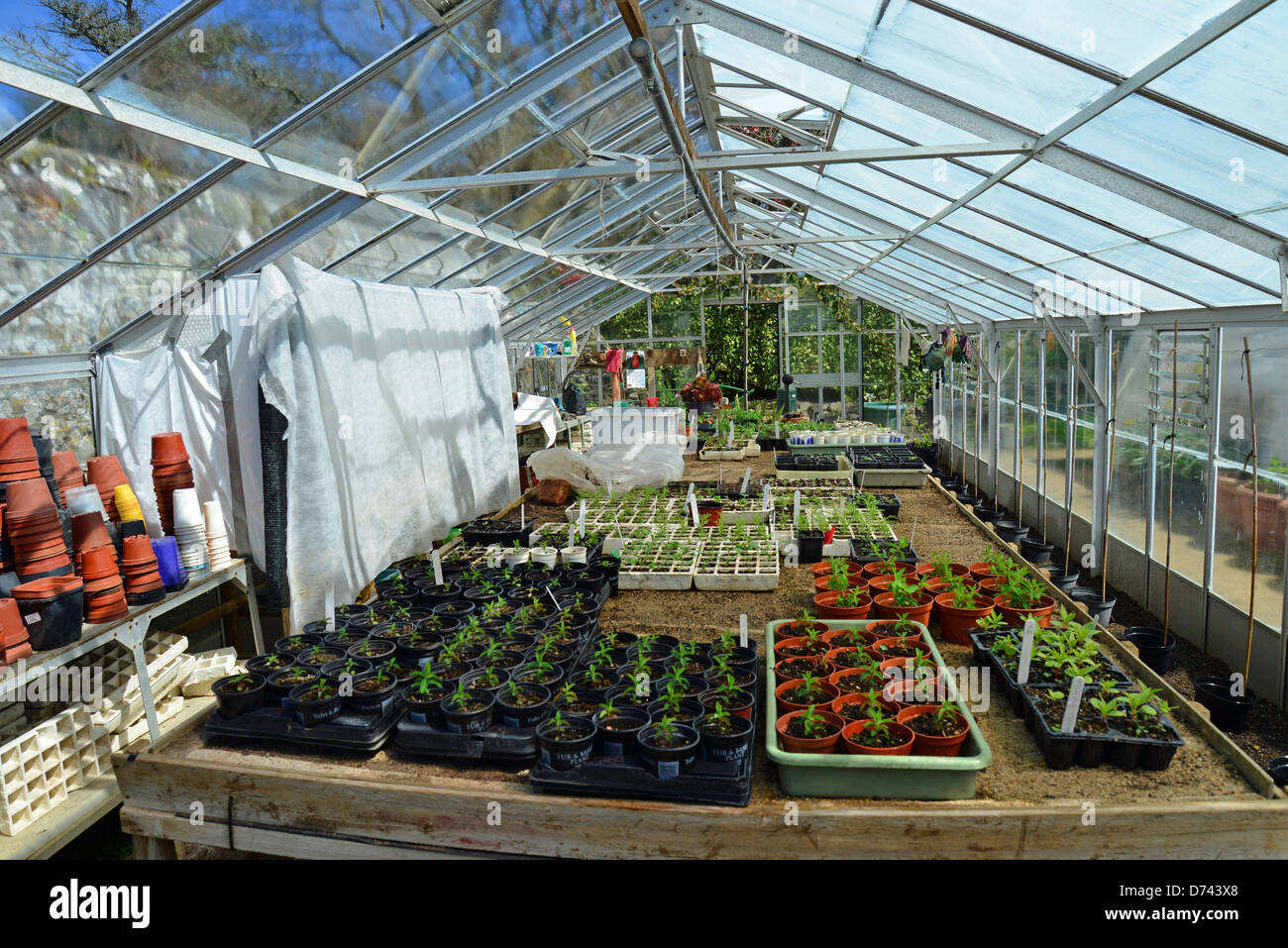 Nursery greenhouse in La Seigneurie Gardens, Greater Sark, Sark