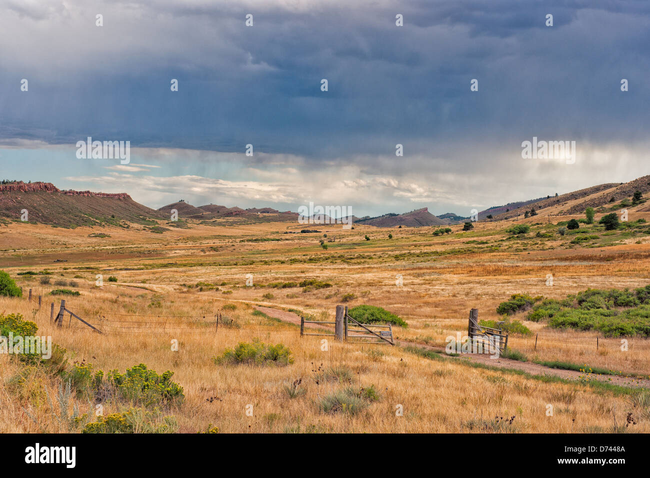 Dark blue clouds pour rain over a prairie covered in grass that displays a rich variety of yellow tones. Stock Photo