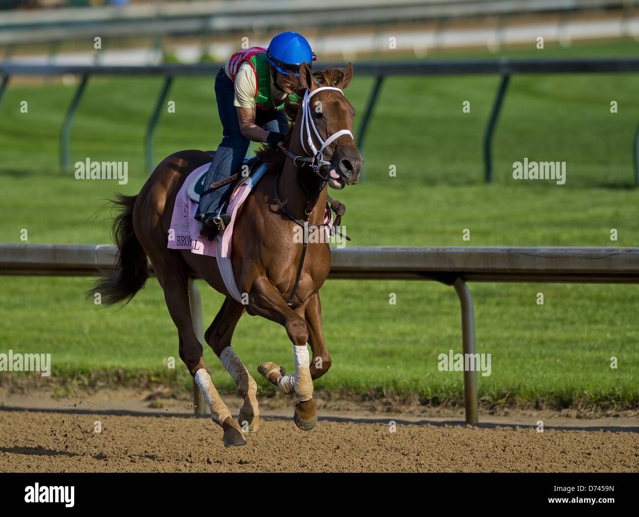 Louisville, Kentucky, U.S. April 28, 2013. Kentucky Oaks entrant Broken Spell during morning workouts for the Kentucky Derby at Churchill Downs in Louisville, Kentucky on April 28, 2013. (Credit Image: Credit:  Scott Serio/Eclipse/ZUMAPRESS.com/Alamy Live News) Stock Photo