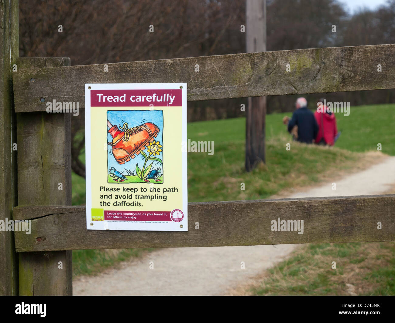 Tread carefully to avoid trampling the daffodils sign on the Farndale walk famous in spring for daffodils Stock Photo