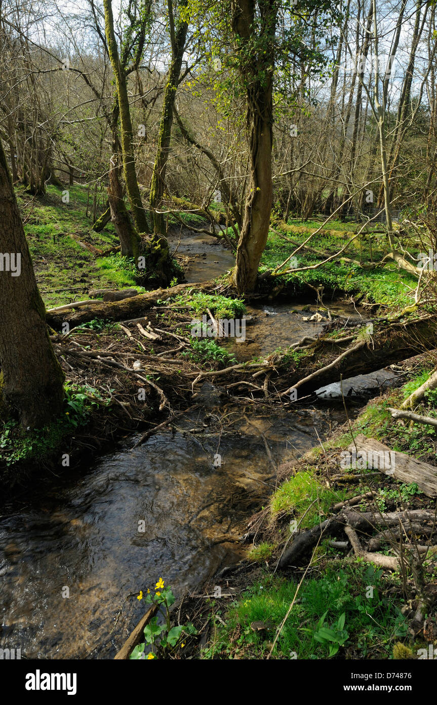 Dillay Brook, Snows Farm, Slad Valley Stock Photo