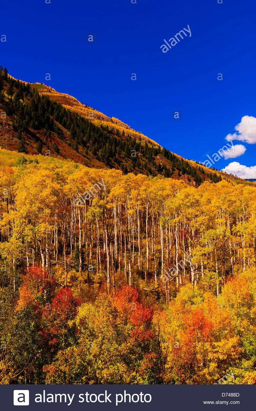 Mcclure Pass Colorado Stock Photos & Mcclure Pass Colorado Stock Images