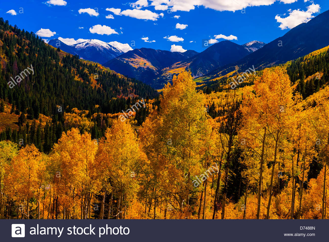Mcclure Pass Colorado Stock Photos & Mcclure Pass Colorado Stock Images